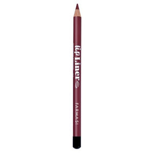 Lip Liner ~ 219